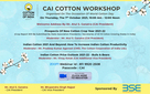 Webinar on cai cotton workshop