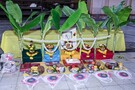 Dsc 3875
